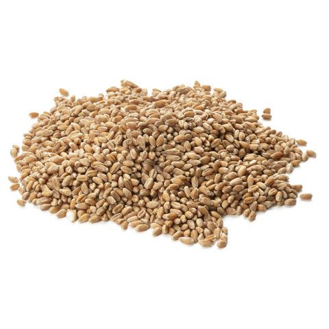 Alliance Bio - 法國100%有機石磨T80半全穀古麥麵粉