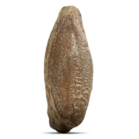 Alliance_Bio_French_Organic_Stone_Ground_Wholegrain_Rye_Flour-2
